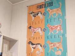 -守诺宠物医院·眼科· 特色牙科·异宠专科(虹口店)