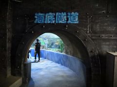 -南昌海洋公园