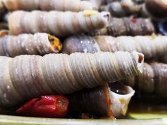 和味炒丁螺-贞姨美食·老字号海鲜大排档