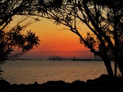 -上海吴淞炮台湾国家湿地公园