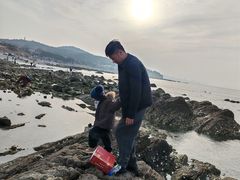 -养马岛旅游度假区