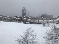 -西岭雪山大飞水景区