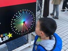 -台场海滨公园船码头