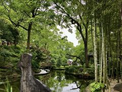 -南山植物园