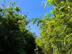 -山王坪喀斯特国家生态公园