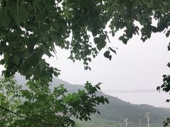 -示范集贸市场