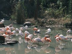 -宁波野生动物园
