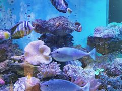 -碧中海汤泉汗蒸酒店