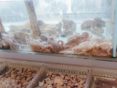 -山海经·海边人家 海鲜新青岛菜(扬州路店)