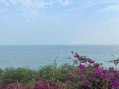-涠洲岛火山国家地质公园