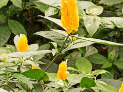 -北京植物园-展览温室