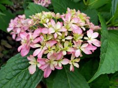 -新天地活力PARK