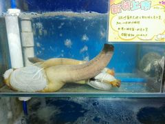 -蚝专家(北滘店)