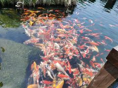 -宁波杭州湾国家湿地公园