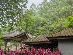 -顺峰山公园