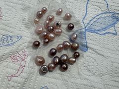 -十八字金银饰·拼豆·开蚌手工体验团建(君太百货店)