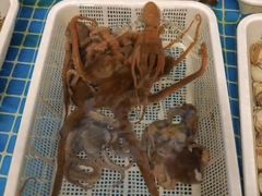 -韩记海鲜饺子旗舰店(红海新区店)