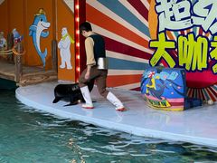 -南昌海洋公园