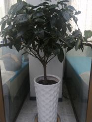 -痘博士昆明·国际祛痘领跑品牌