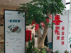 -上海先进东风标致雪铁龙4S店(青浦店)