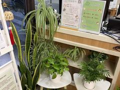 -爱妮康宠物医院·干细胞免疫细胞·肿瘤·心脏(张江店)