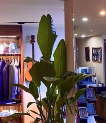 -伊布老裁缝西装礼服定制