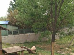 -石家庄市动物园