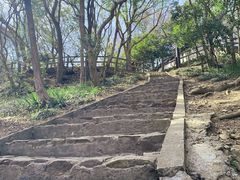 -上海佘山国家森林公园天马山园