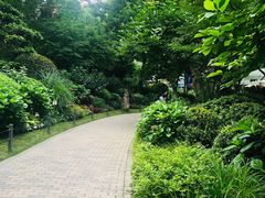 -静安公园(静安寺街道)