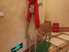 -草原明珠大酒店蒙餐