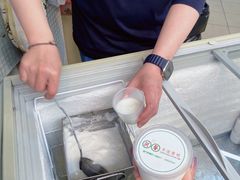 -洪馨椰子