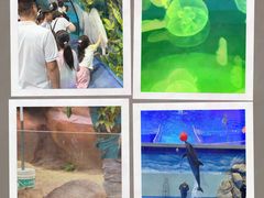 -福州罗源湾海洋世界旅游区