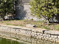 -春风习习
