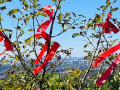 -沈阳辉山风景区