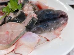 -鱼豆吉·豆浆鱼火锅(宜昌万达店)