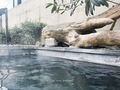 -陆地游轮西山温泉号