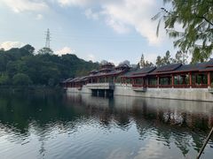 -重庆彩云湖湿地公园