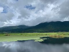 -腾冲北海湿地