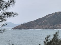 -广东惠东海龟国家级自然保护区