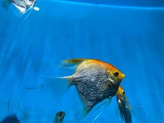 -海合安武汉极地海洋公园