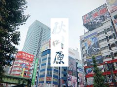 -秋叶原电器街
