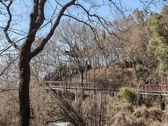 -南京市江宁方山