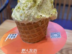-野人先生现做冰淇淋(北京环宇荟店)