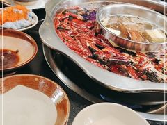 -肥龙火锅(南坪店)
