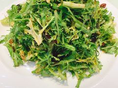 凉拌苦苣-老码头黑皮肘子锅包肉(文政街店)