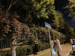 -山东农业大学(岱宗校区)