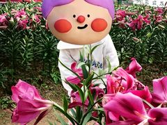 -花博汇(知音花月夜)