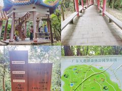 -天鹿湖森林公园