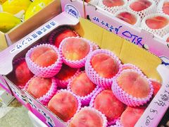 -油麻地果栏