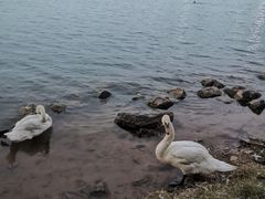 -北龙湖湿地公园